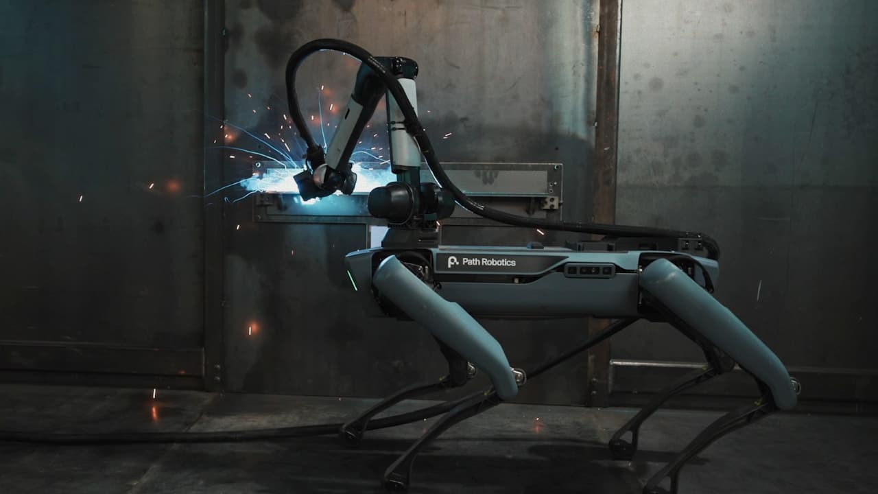 Introducing Rove™ | Path Robotics